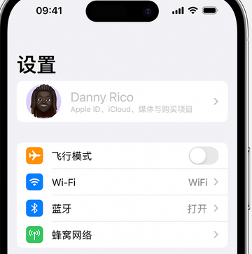 谢岗镇appleID维修服务iPhone设置中Apple ID显示为灰色无法使用 