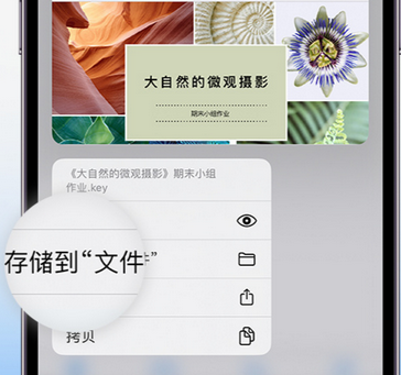 谢岗镇apple维修中心分享iPhone文件应用中存储和找到下载文件