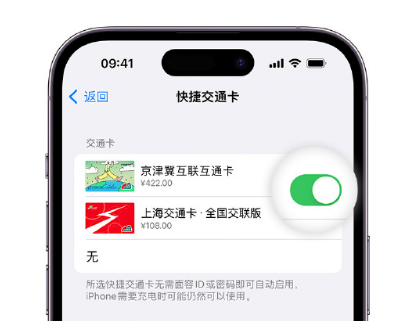 谢岗镇apple维修点分享iPhone上更换Apple Pay快捷交通卡手绘卡面 