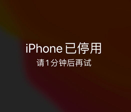 谢岗镇苹果手机维修分享:iPhone 显示“不可用”或“已停用”怎么办？还能保留数据吗？ 