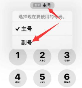 谢岗镇苹果14维修店分享iPhone 14 Pro Max使用副卡打电话的方法 