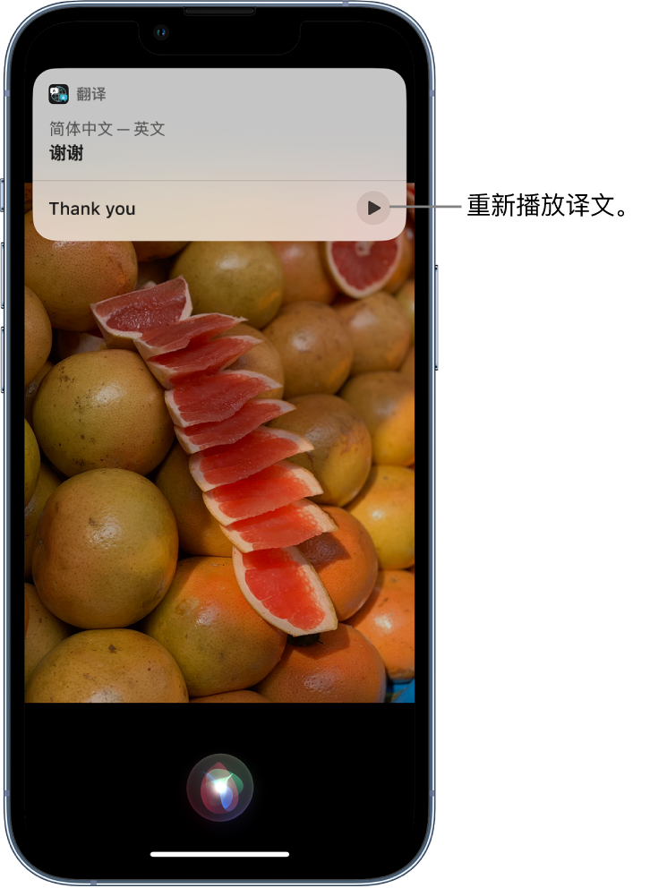 谢岗镇苹果14维修分享 iPhone 14 机型中使用 Siri：了解 Siri 能帮你做什么 