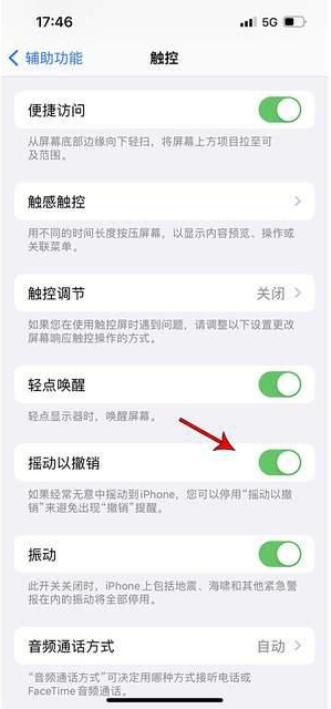 谢岗镇苹果手机维修分享iPhone手机如何设置摇一摇删除文字 